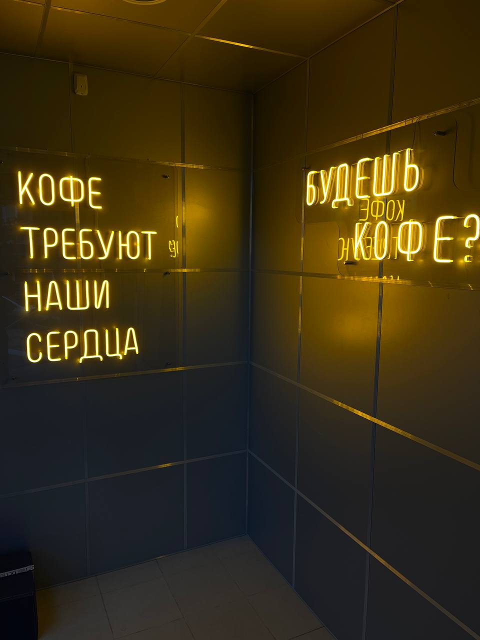 Изображение 5/13